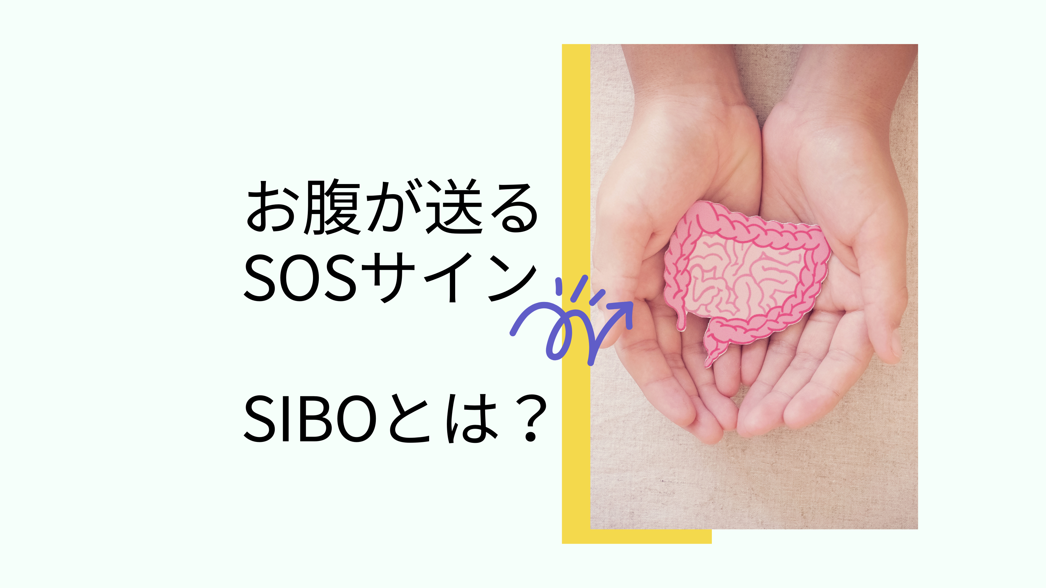 お腹の膨満感やガスの裏に潜む真犯人！SIBOとは